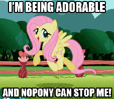 IMG_0102.gif.6479b83a3cde174bc28544282e9916ea.gif