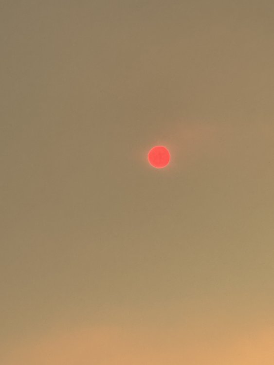 IMG_0281.jpeg