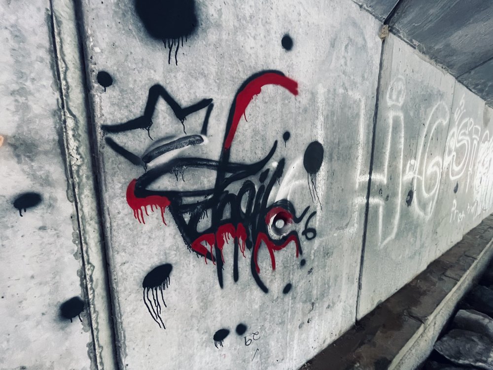IMG_0448.jpeg