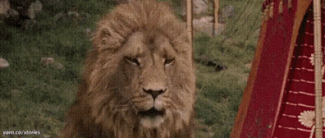 aslan-do-not-cite-the-ancient-magic-to-me-witch.gif.7551eba5e210a9fcb85f91f633f53304.gif
