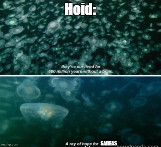image.png.0e6b134d19c069245cc3735ea8cb9fbc.png