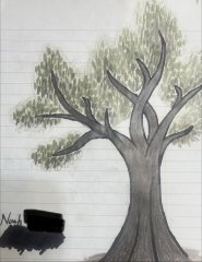 IMG_1582.jpeg