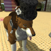 Guru Coyote