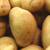 potatopicker
