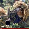 killersquirrel59