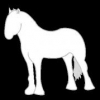 Small Horse