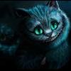 Cat Gecko