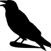 RavenRadient7
