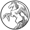 nicocoberru