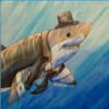 Tony Shark