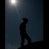 Arash.F