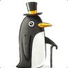 King Penguin