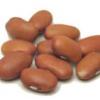 Bean